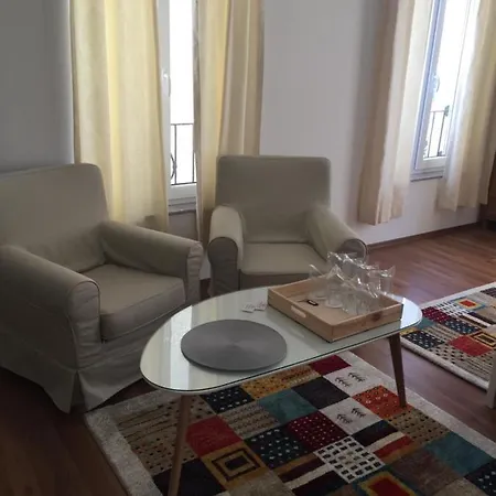 студия давидов 