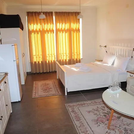 студия давидов 