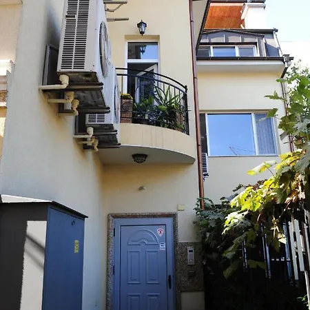 студия давидов 