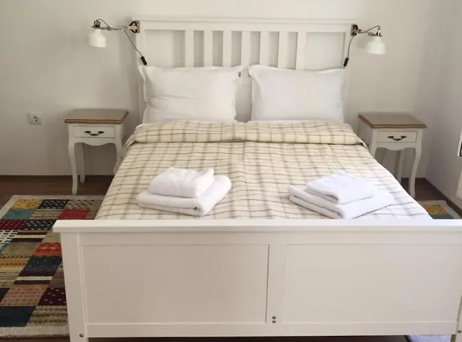 студия давидов 