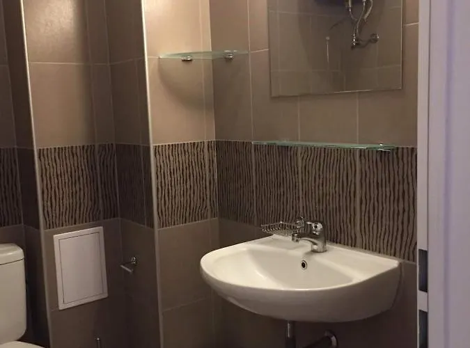 студия давидов 