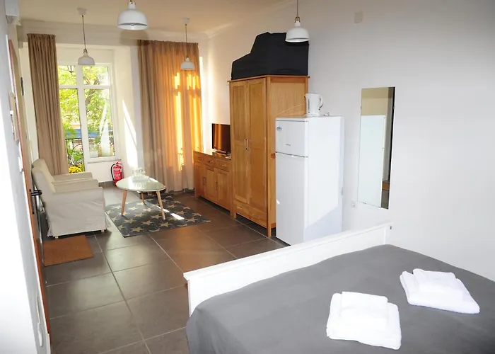 студия давидов 