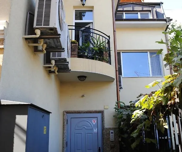 студия давидов 