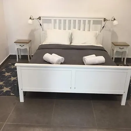 студия давидов 