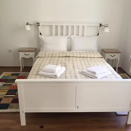 студия давидов 