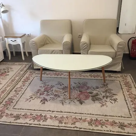 студия давидов 