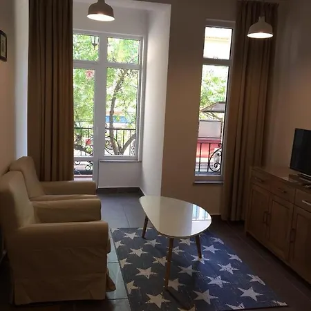 Apartment студия давидов 