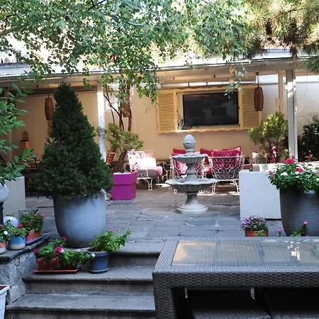 студия давидов 