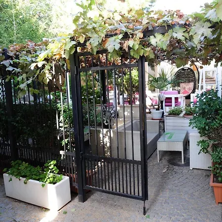 студия давидов 