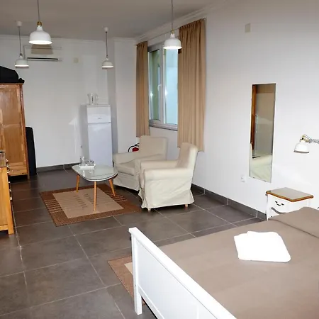 студия давидов 