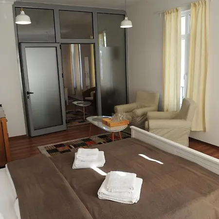 студия давидов 