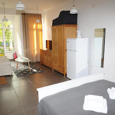 студия давидов 