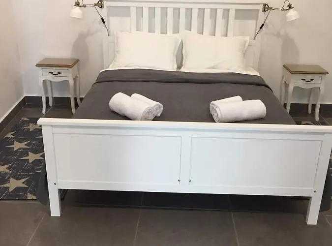 студия давидов 