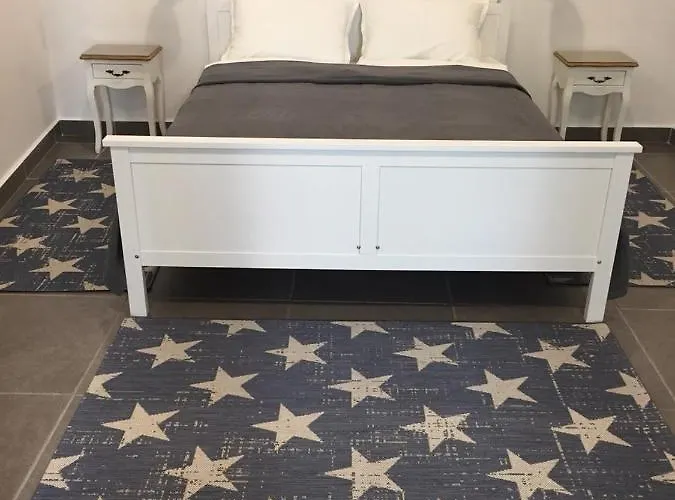 студия давидов 