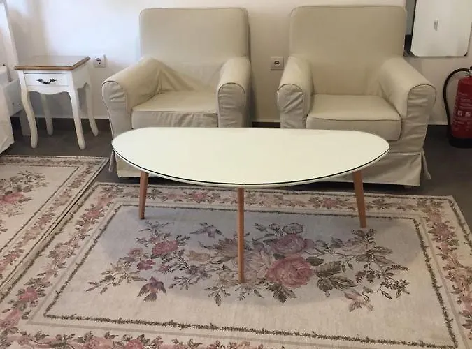 студия давидов 