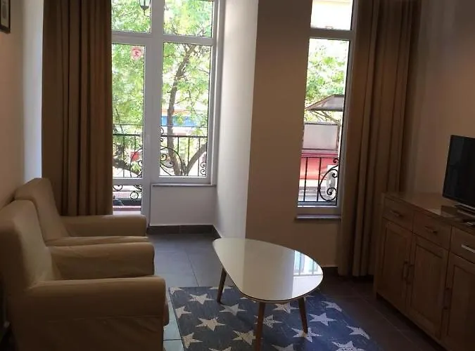 Appartement студия давидов 