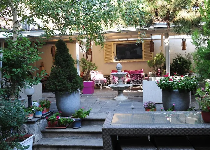 студия давидов 