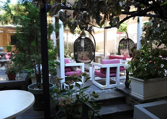 студия давидов 