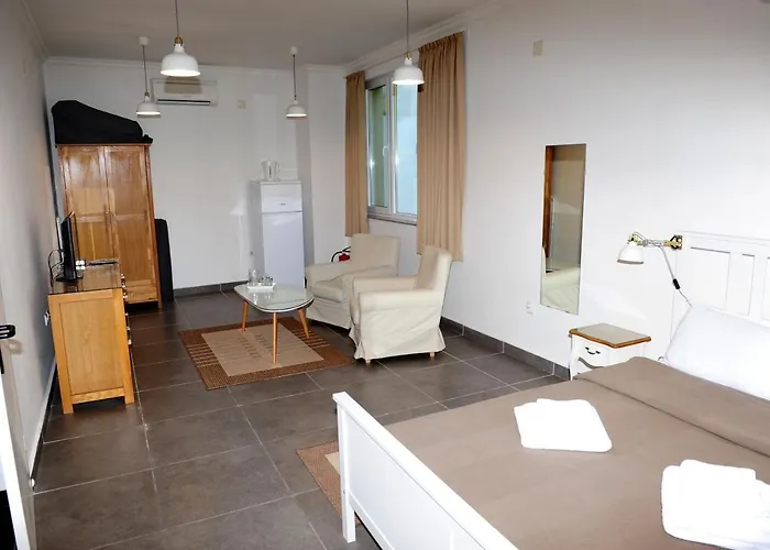 студия давидов 