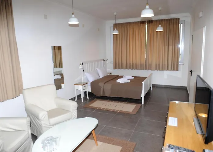 студия давидов 